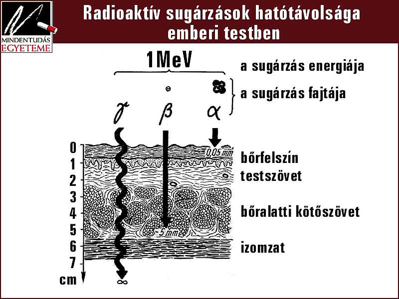 A nagytshoz kattintson a kpre!